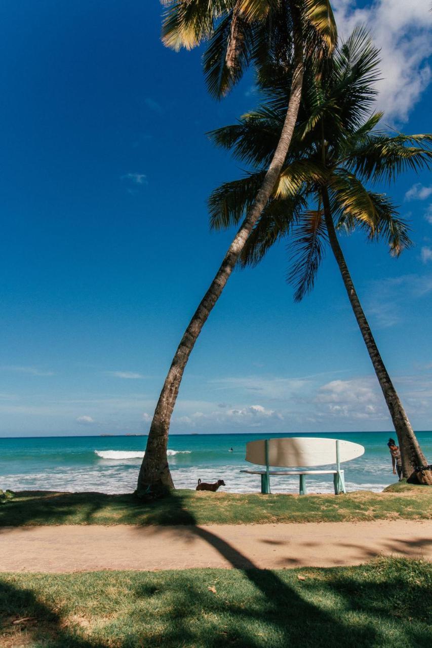 El Mosquito Boutique Hotel Playa Bonita Las Terrenas Exterior foto